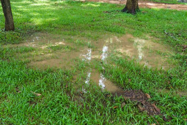 Storm Water Drainage Service in Appleton