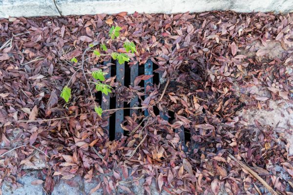 Yard Drain Unclogging in Appleton