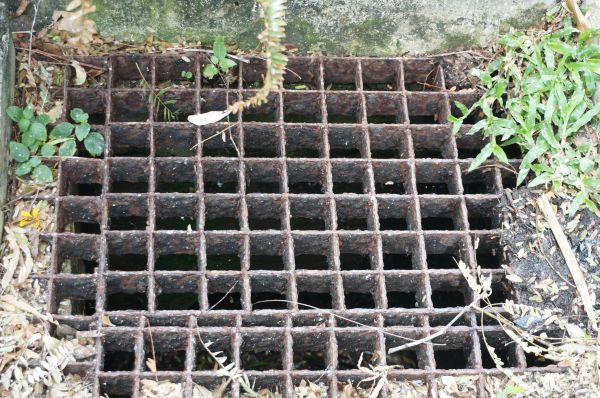 Yard Drain Cleaning in Appleton