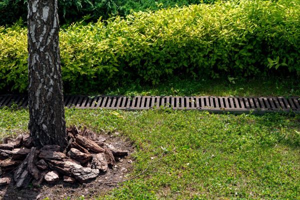 Wet Yard Drainage in Appleton