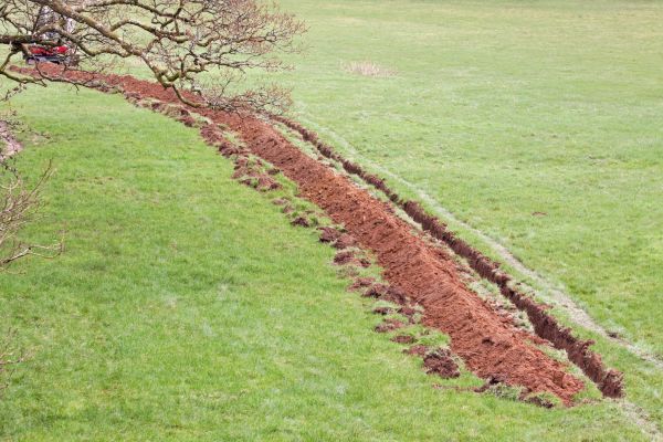 Cost of Swale Installation in Appleton