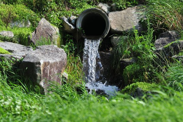 Water Redirection in Appleton