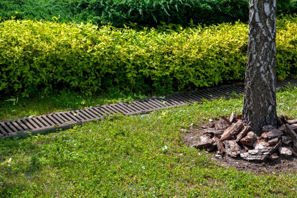 Residential Landscape Drainage in Appleton