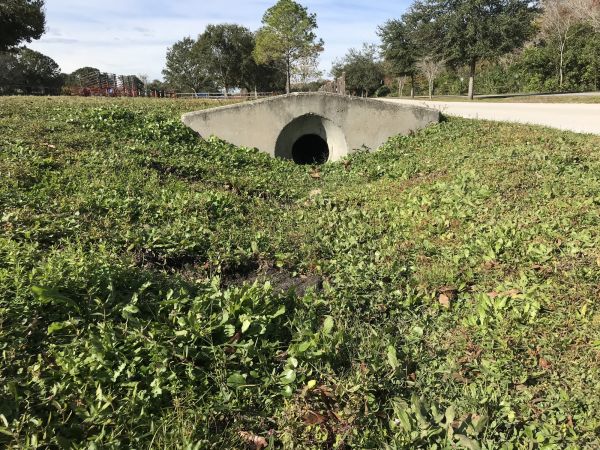 Cost of Swale Drainage Service in Appleton
