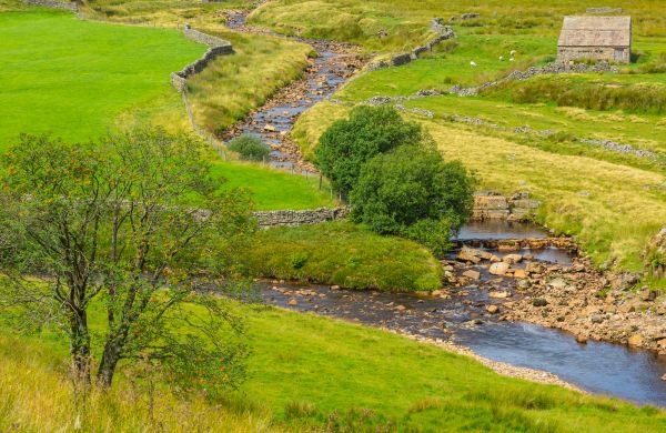 Swale Repair in Appleton